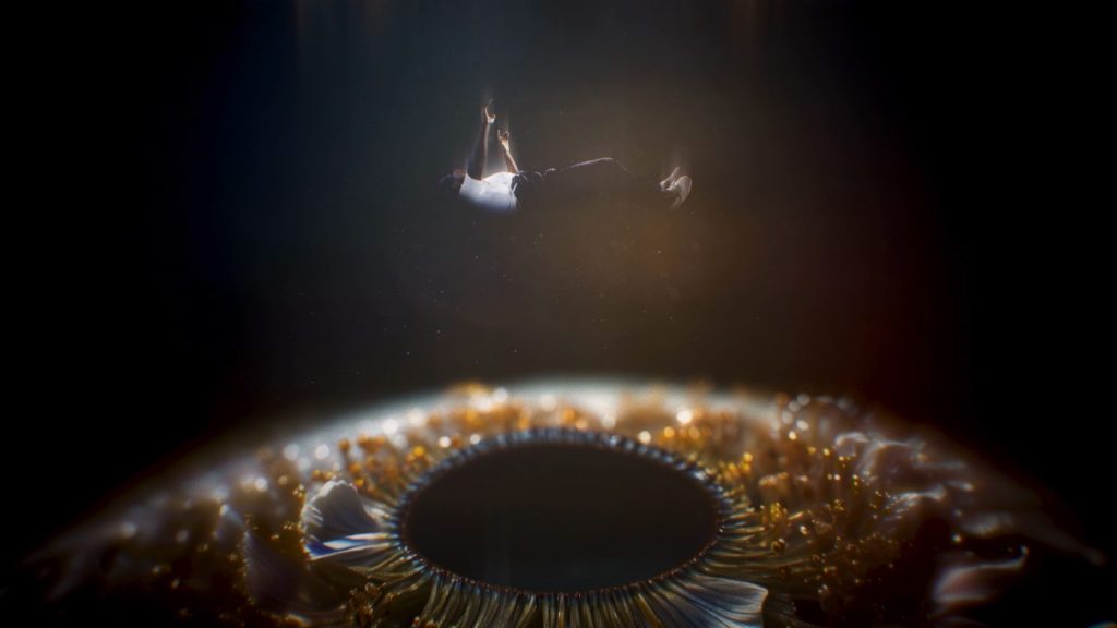 Le rappeur Baboune tombe dans la pupille d'un oeil géant formé de fleur d'Iris